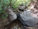Featured Full Photo