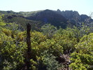 photo thumbnail #9