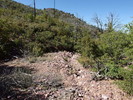 photo thumbnail #10