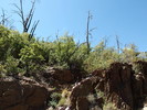 photo thumbnail #14