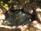 2017-05-06 :1: Mazatzal Peak Super Loop :: jacobemerick
