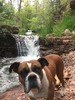 photo thumbnail #5