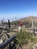 photo thumbnail #7