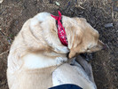 photo thumbnail #8
