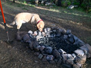 photo thumbnail #9
