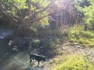 photo thumbnail #2