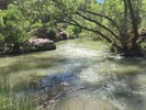 photo thumbnail #11