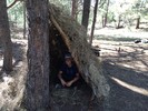 photo thumbnail #2