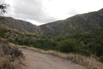 photo thumbnail #6