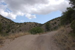 photo thumbnail #8