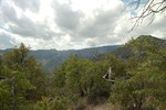 photo thumbnail #11
