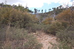 photo thumbnail #12