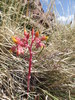 photo thumbnail #12
