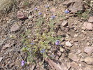 photo thumbnail #13