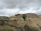 photo thumbnail #12