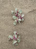 photo thumbnail #15