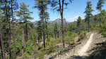 photo thumbnail #9