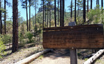 photo thumbnail #14