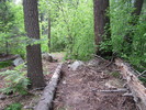 photo thumbnail #6