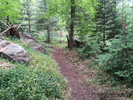 photo thumbnail #8