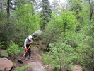 photo thumbnail #10