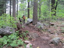 photo thumbnail #12