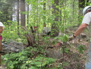 photo thumbnail #11