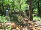 photo thumbnail #15