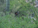photo thumbnail #12