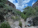 photo thumbnail #14