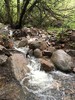 photo thumbnail #7