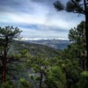 photo thumbnail #8