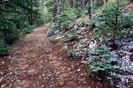 photo thumbnail #5