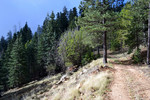photo thumbnail #8