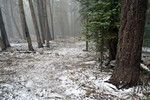 photo thumbnail #15