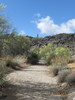 photo thumbnail #3