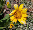 photo thumbnail #5