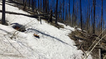 photo thumbnail #5