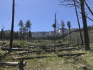 photo thumbnail #1