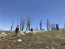 photo thumbnail #3