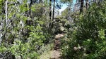 photo thumbnail #7