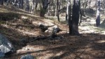 photo thumbnail #2