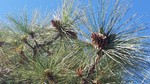 photo thumbnail #13