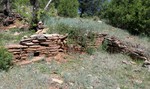 photo thumbnail #4