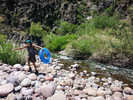 photo thumbnail #7