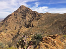 photo thumbnail #2