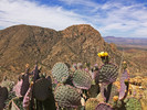 photo thumbnail #9