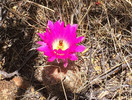 photo thumbnail #10
