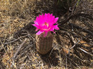 photo thumbnail #11