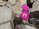 photo thumbnail #9